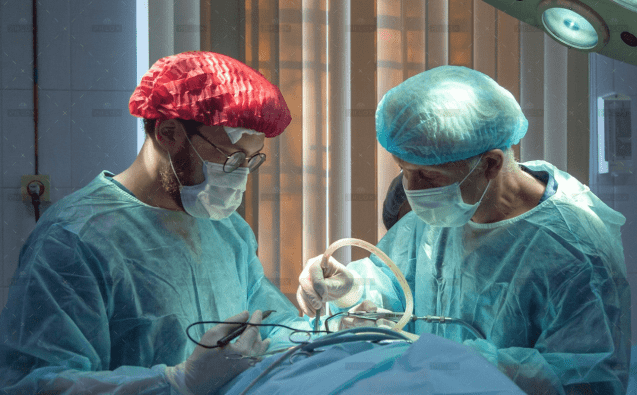 demo-attachment-848-blog-1-img-1