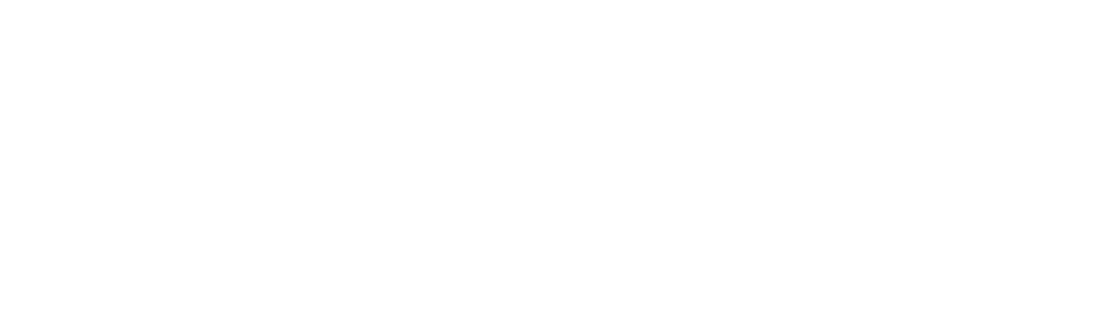 final maxgain logo-04